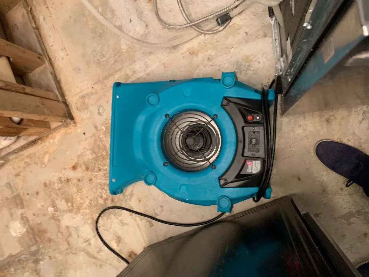 Air mover drying equipment for Mold Remediation & Removal in Middleburg